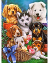 Catelusi, Puzzle Castorland, 300 Piese,Uniq30323