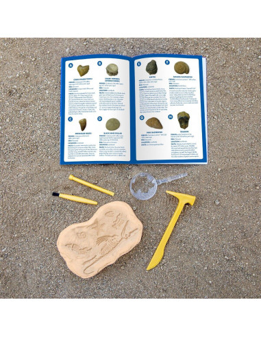 GeoSafari - Kit excavare fosile,EI-5340