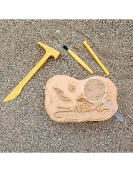 GeoSafari - Kit excavare fosile,EI-5340