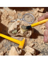 GeoSafari - Kit excavare fosile,EI-5340
