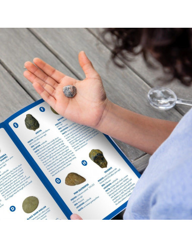 GeoSafari - Kit excavare fosile,EI-5340