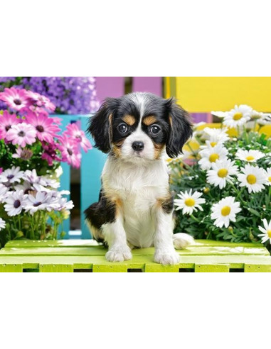 Catelus Spaniel, Puzzle Castorland, 70 Piese,Uniq70053