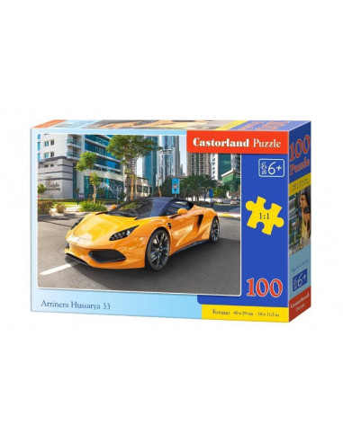 Arrinera Hussarya 33, Puzzle Castorland, 100 Piese,Uniq111015