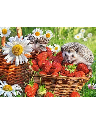 Arici Si Capsuni, Puzzle Castorland, 200 Piese,Uniq222025