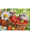 Arici Si Capsuni, Puzzle Castorland, 200 Piese,Uniq222025