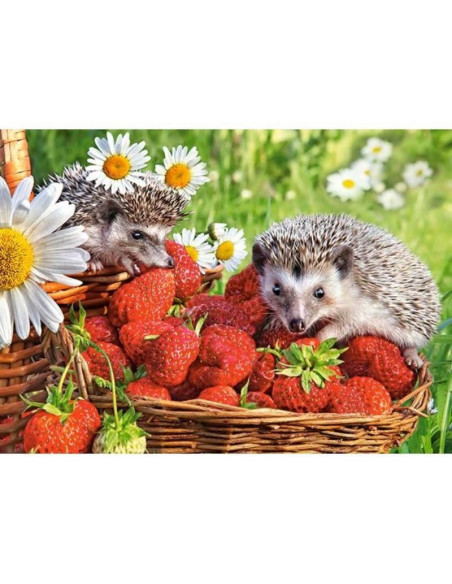 Arici Si Capsuni, Puzzle Castorland, 260 Piese,Uniq27484