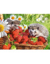 Arici Si Capsuni, Puzzle Castorland, 260 Piese,Uniq27484
