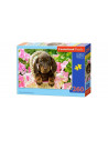Catelus, Puzzle Castorland, 260 Piese,Uniq27514