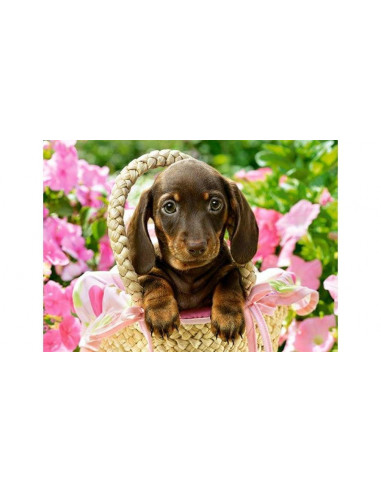 Catelus, Puzzle Castorland, 260 Piese,Uniq27514