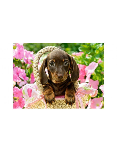 Catelus, Puzzle Castorland, 260 Piese,Uniq27514