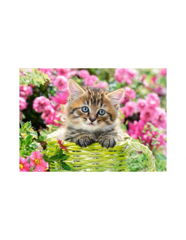 Pisicuta, Puzzle Castorland, 500 Piese,Uniq52974