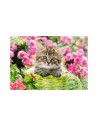 Pisicuta, Puzzle Castorland, 500 Piese,Uniq52974