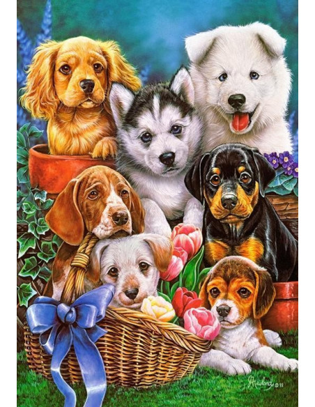 Catelusi, Puzzle Castorland, 1000 Piese,Uniq104048