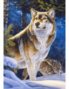 Lup, Puzzle Castorland, 1000 Piese,Uniq104062