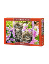 Pisicute In Gradina, Puzzle Castorland, 1000 Piese,Uniq104086