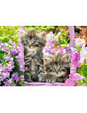 Pisicute In Gradina, Puzzle Castorland, 1000 Piese,Uniq104086