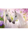 Cai Romantici, Puzzle Castorland, 1000 Piese,Uniq104147