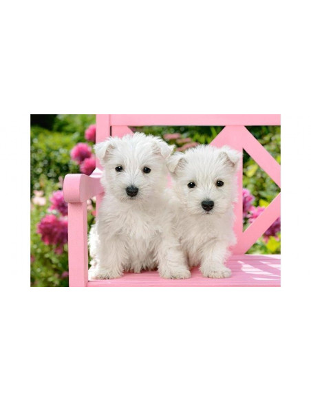 Catelusi Terrier, Puzzle Castorland, 1500 Piese,Uniq151721