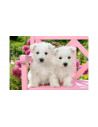 Catelusi Terrier, Puzzle Castorland, 1500 Piese,Uniq151721