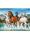 Cai, Puzzle Castorland, 2000 Piese,Uniq200702
