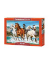 Cai, Puzzle Castorland, 2000 Piese,Uniq200702