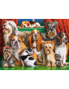 Clubul Cateilor, Puzzle Castorland, 3000 Piese,Uniq300501