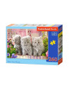 Trei Pisicute Gri, Puzzle Castorland, 260 Piese,Uniq27491