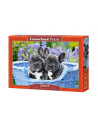 Pui De Buldogi Francezi, Puzzle Castorland, 1000