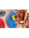 Set creativ - Accesorii pentru catelus,CCPPL058