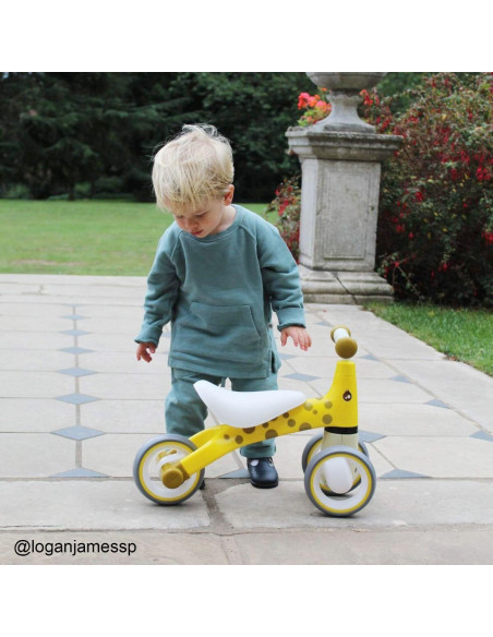 Tricicleta fara pedale - Crocodil,SI4003