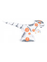 Robot dinozaur cu telecomanda,4134T