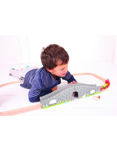 Podul de la ferma,BJT246