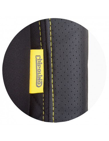 Scaun auto Chipolino Techno 0-36 kg raven cu sistem