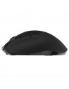 MOUSE DELUX, PC sau NB, wireless, 2.4GHz, optic, 1600 dpi