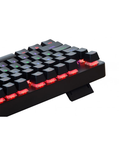 TASTATURA MECANICA SPACER USB IMMORTAL, switch-uri mecanice