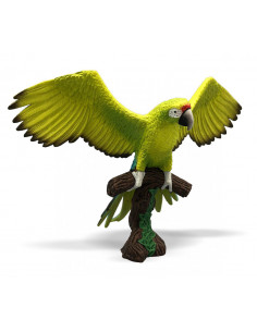 Papagal Macaw