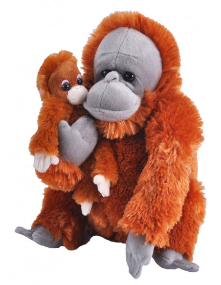 Mama si Puiul - Urangutan,WR23476