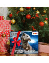 CALENDAR CRACIUN - DINO,CRZ33401