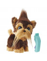 Catelul Shaggy Shawn,E0497