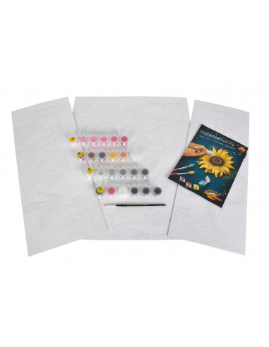 Kit Pictura Pe Numere Schipper Orhidee, 3 Tablouri,609260603