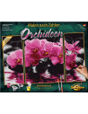 Kit Pictura Pe Numere Schipper Orhidee, 3 Tablouri,609260603