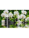 Kit Pictura Pe Numere Schipper O Oaza Spa, 3 Tablouri,609260681
