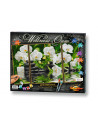 Kit Pictura Pe Numere Schipper O Oaza Spa, 3 Tablouri,609260681
