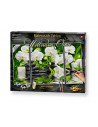 Kit Pictura Pe Numere Schipper O Oaza Spa, 3 Tablouri,609260681