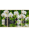Kit Pictura Pe Numere Schipper O Oaza Spa, 3 Tablouri,609260681