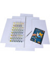 Kit Pictura Pe Numere Schipper Padurea Noastra, 5