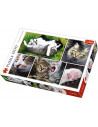Puzzle Trefl 1500 Viata Pisicilor,26145