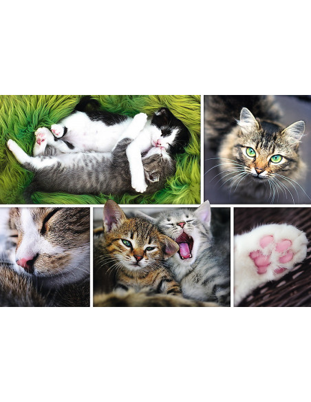 Puzzle Trefl 1500 Viata Pisicilor,26145