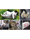 Puzzle Trefl 1500 Viata Pisicilor,26145