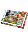 Puzzle Trefl 60 Ferma Fericita,17320